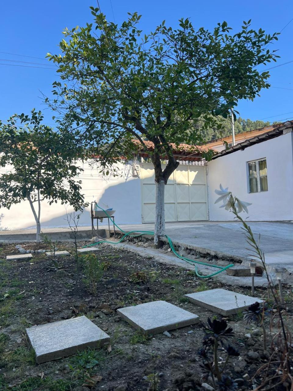 Private In Haxhialiu Apartment *